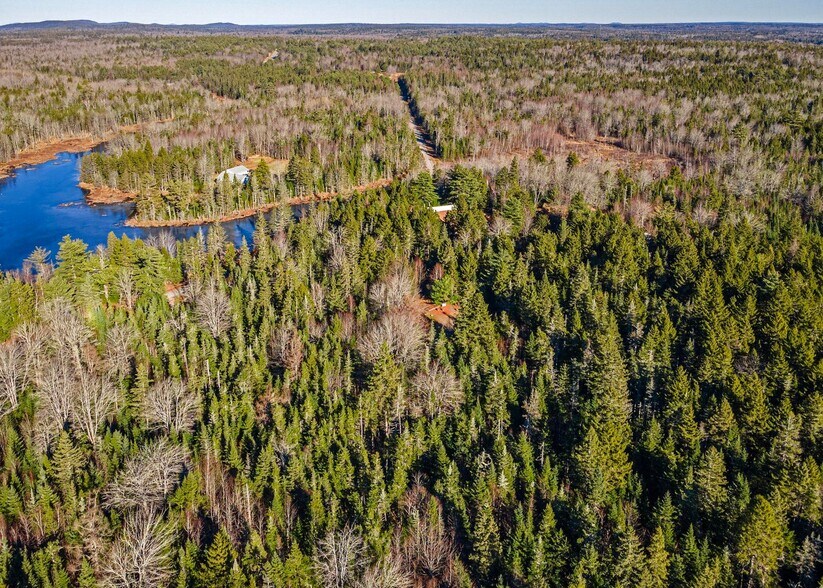 More Photos Of 175 Chicken Mill Pond Rd, Gouldsboro Winery Vineyard For Sale