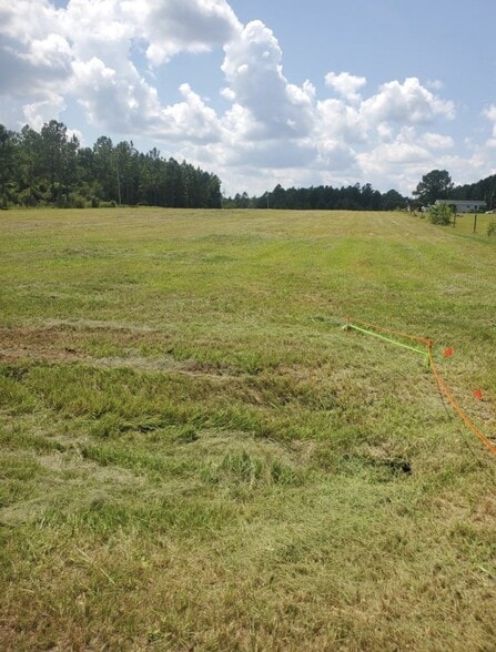 Primary Photo Of 30225 Osprey Ln, Robertsdale Land For Sale