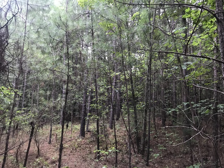 More Photos Of 103 Bailey Jester Rd, Griffin Land For Sale