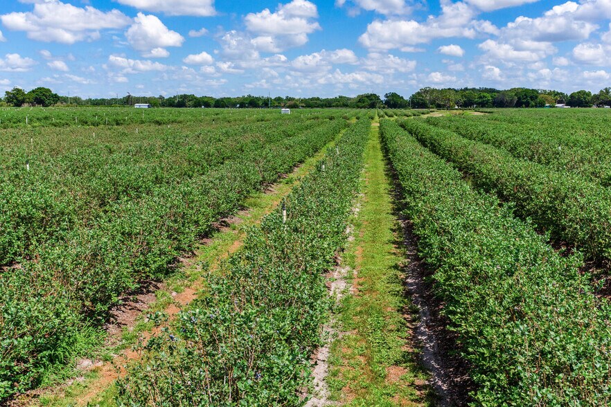 More Photos Of 3674 FL-64, Zolfo Springs Land For Sale