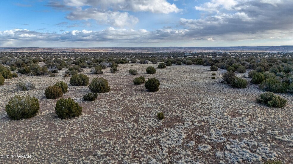 More Photos Of TBD Shumway Rd TBD Shumway Road, Show Low Land For Sale