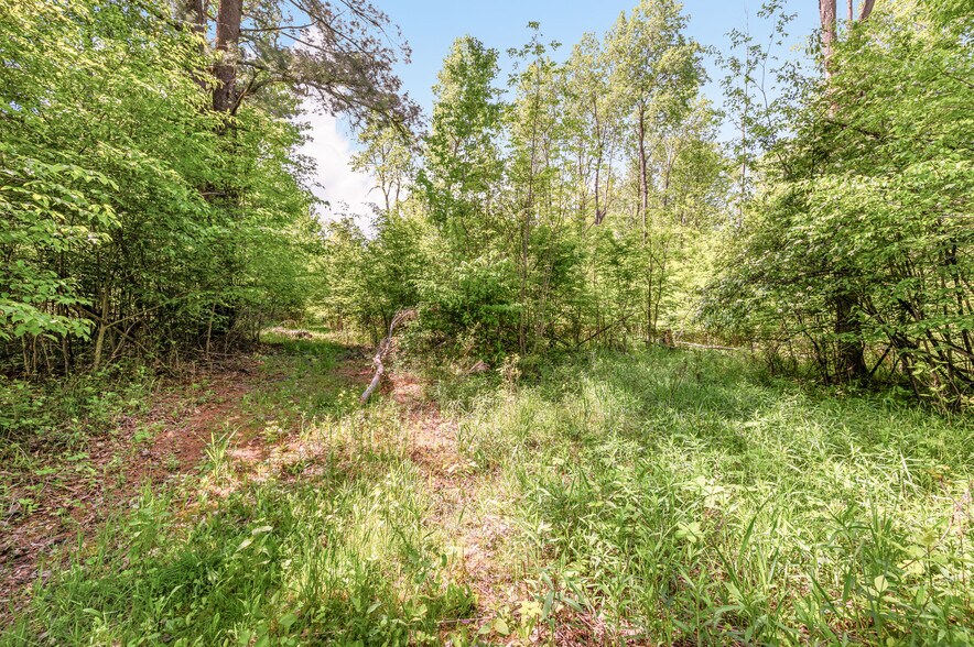 More Photos Of V/L 220th Ave, Big Rapids Land For Sale