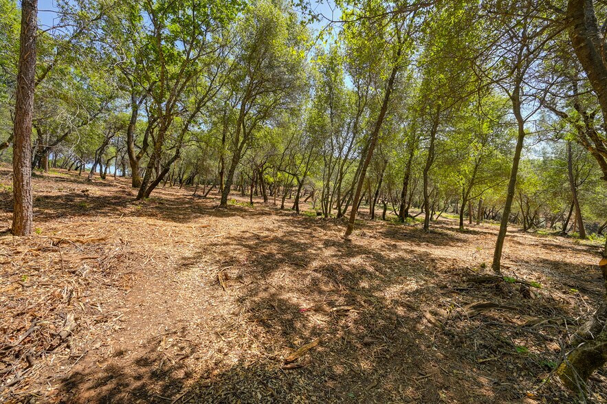 More Photos Of 10650 Werner Rd, Auburn Land For Sale