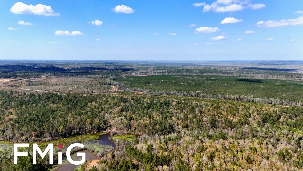 More Photos Of 800 McKenzie Rd, Cantonment Land For Sale