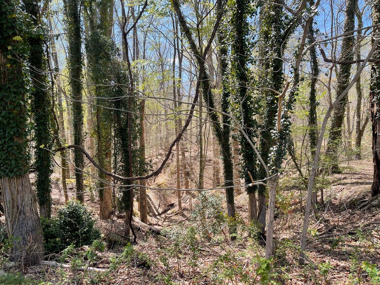 More Photos Of 38.66 Acres - Neck Road, Aquasco Land For Sale