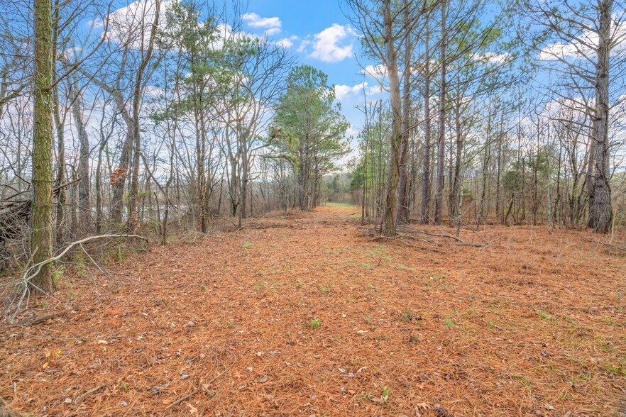 More Photos Of 0 Old Athens Pike, Sweetwater Land For Sale
