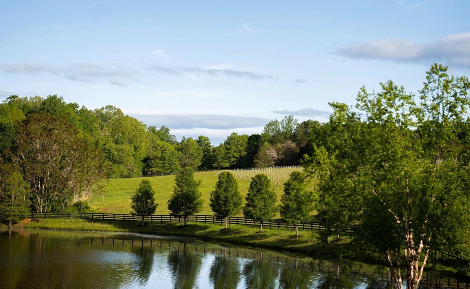 More Photos Of 6887 Blenheim Rd, Scottsville Land For Sale