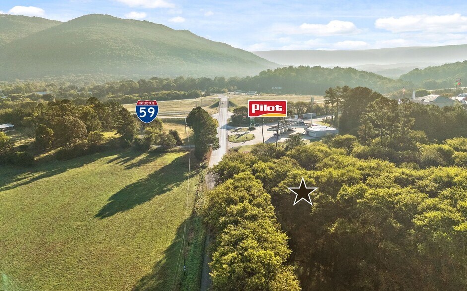 More Photos Of 0 Deer Head Cove Road, Rising Fawn Land For Sale