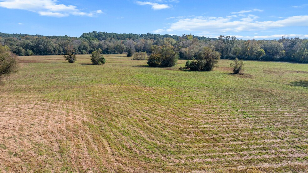 More Photos Of TBD Farm to Market Road 16, Winona Land For Sale