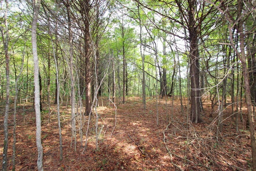 More Photos Of 226 Blythe rd, Greenbrier Land For Sale