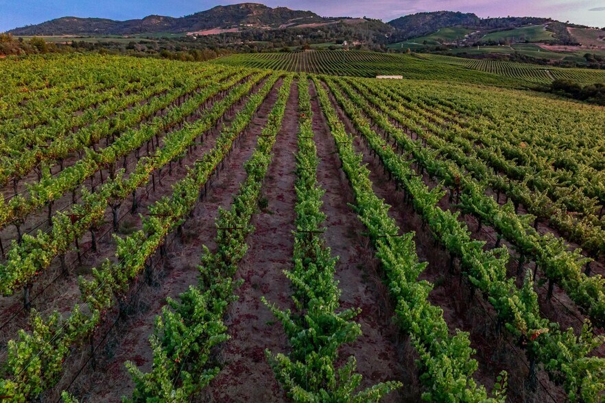 More Photos Of 3585 Soda Canyon Rd, Napa Land For Sale
