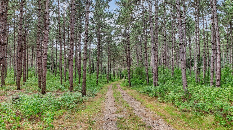 More Photos Of N8481 Kleba Rd, Hixton Flex For Sale