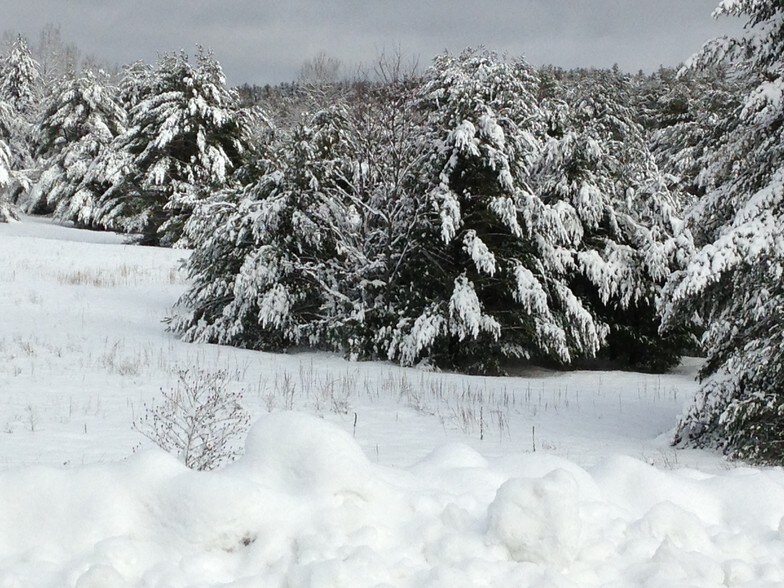 More Photos Of Route 8 & I-87, Chestertown Land For Sale