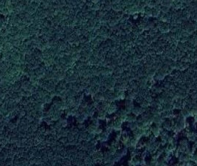 Primary Photo Of Fox and Robinson Rd, South Canaan Land For Sale