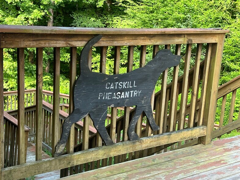 More Photos Of 374 Neer Rd, Long Eddy Lodge Meeting Hall For Sale