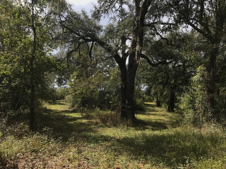 More Photos Of NW CR 250, Mayo Land For Sale