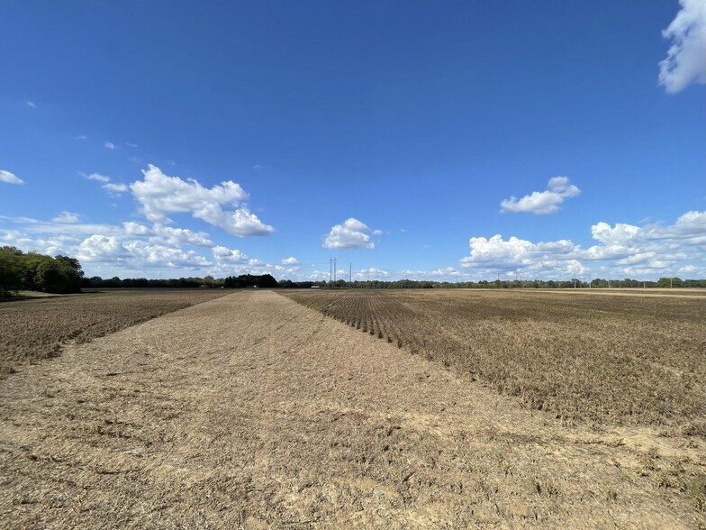 More Photos Of County 21 & Bell Grayson Road hwy, Demopolis Land For Sale