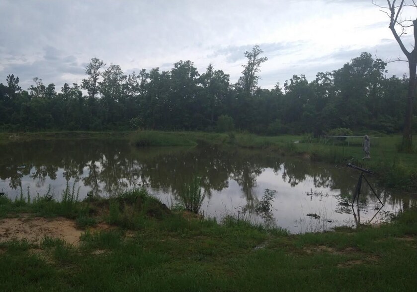 More Photos Of 12821 County Road 97, Elberta Land For Sale