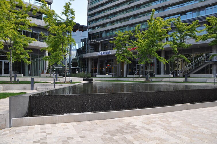 More Photos Of 989 112th Ave NE, Bellevue Apartments For Lease