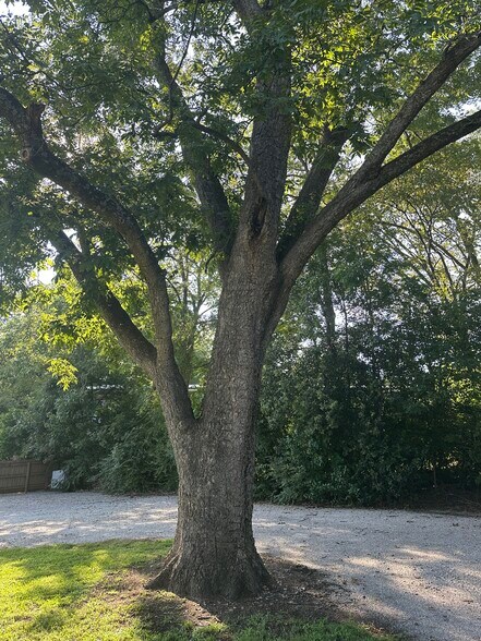 More Photos Of 62 Lee St, Jefferson Office For Sale