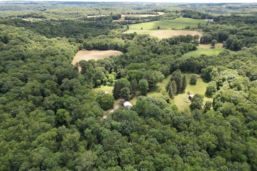 Primary Photo Of 11811 Gaston Rd, Negley Land For Sale