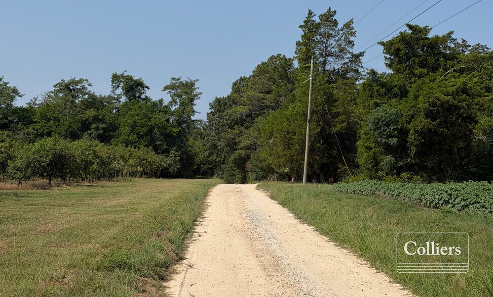 More Photos Of Joes Trail, Monetta Land For Sale