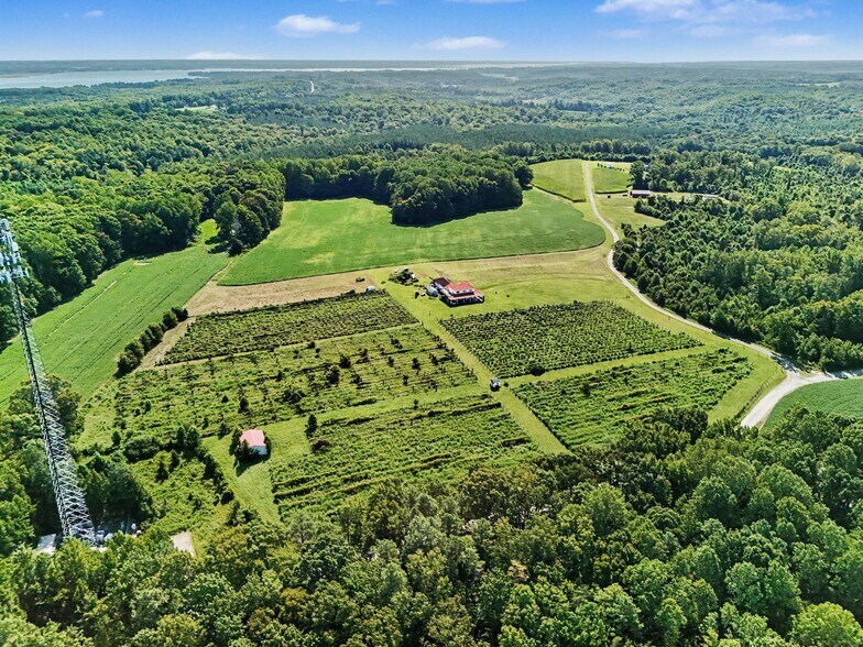 More Photos Of 495 Meadow Landing Ln, Caret Winery Vineyard For Sale