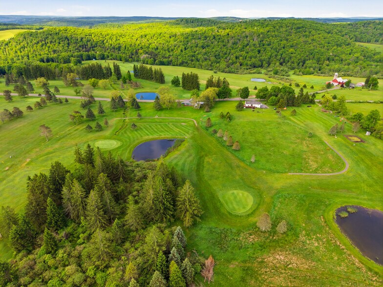 More Photos Of 5471 Telephone Rd, Cincinnatus Sports And Entertainment For Sale