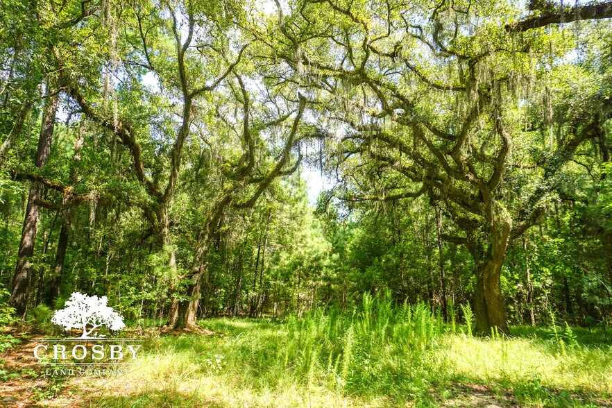 More Photos Of 3009 Lowcountry Drive, Ridgeland Land For Sale