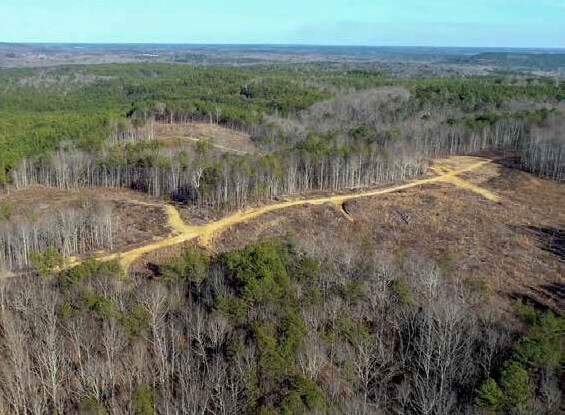 More Photos Of 0 AL 13, Nauvoo Land For Sale