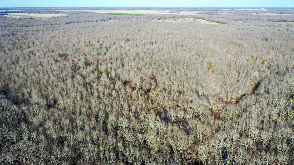 More Photos Of 1200 County 1255 rd, Detroit Land For Sale