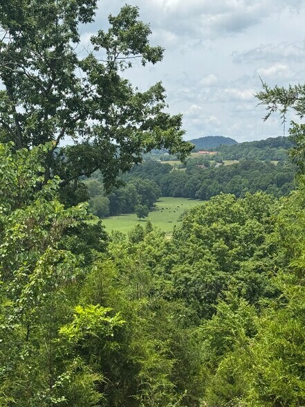 Primary Photo Of 210 Ridge Haven Dr, Surgoinsville Land For Sale