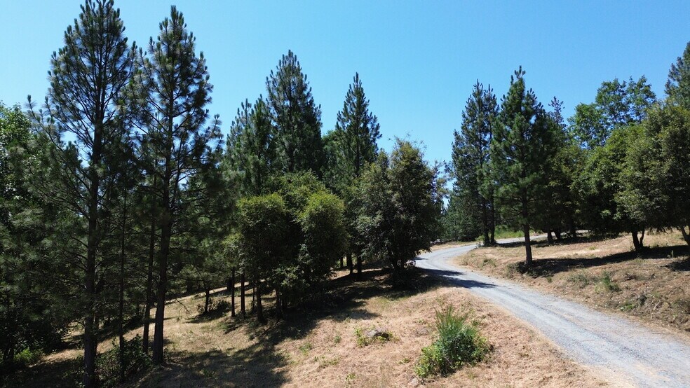 More Photos Of Whitcomb Ave, Colfax Land For Sale