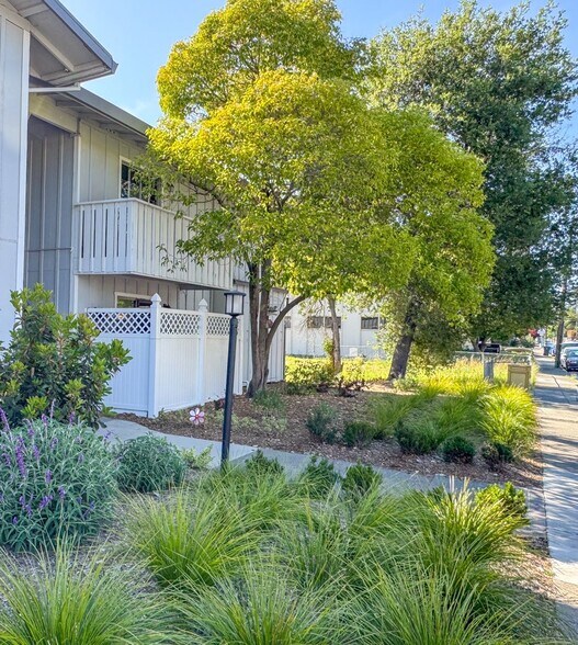More Photos Of 445 E St, Santa Rosa Apartments For Sale