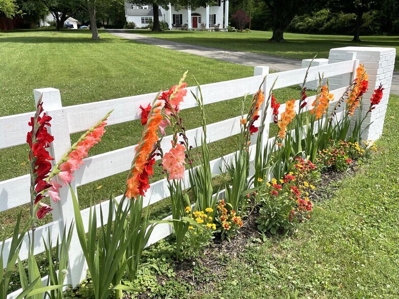 More Photos Of 799 Whitthorne St, Shelbyville Hospitality For Sale