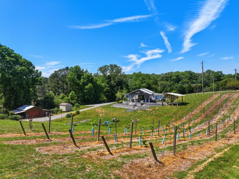 More Photos Of 2317 GA-382, Ellijay Winery Vineyard For Sale