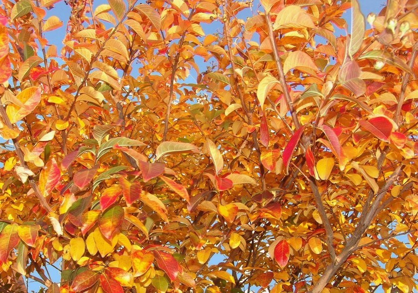 More Photos Of Chopawamsic Island, Quantico Land For Sale