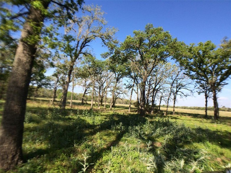 More Photos Of 24936 HIGHWAY 159, Hempstead Land For Sale