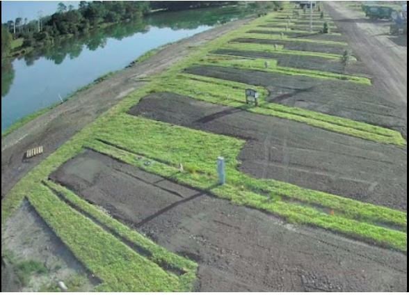 More Photos Of 11932 Old Kings Rd, Jacksonville Trailer Camper Park For Sale