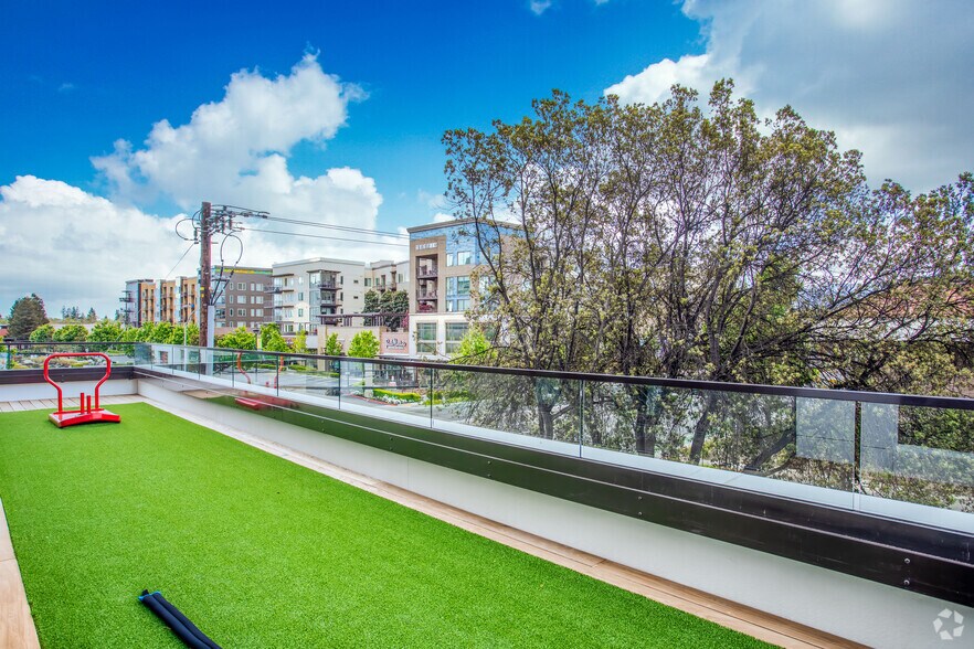 More Photos Of 458 San Antonio Rd, Mountain View Apartments For Lease