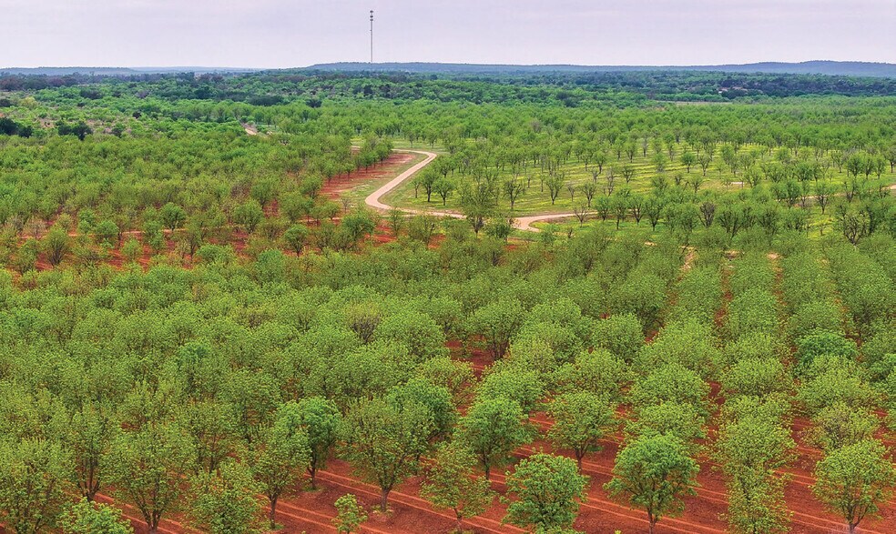 More Photos Of 450 County Road 417, Goldthwaite Land For Sale