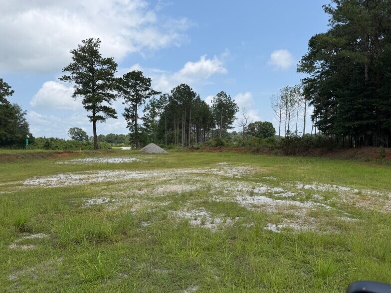 More Photos Of 93888 Highway 9, Lineville Land For Sale