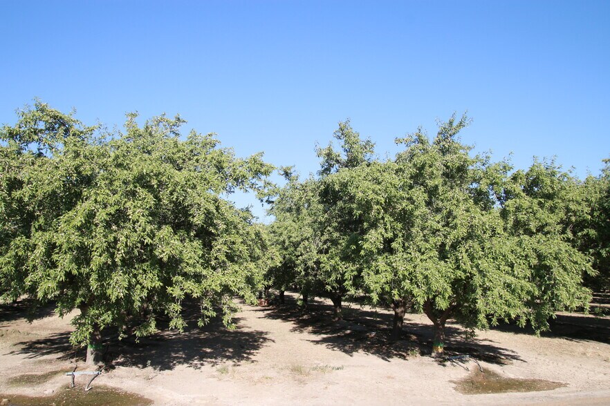 More Photos Of 18045 Magnolia Ave, Shafter Land For Sale