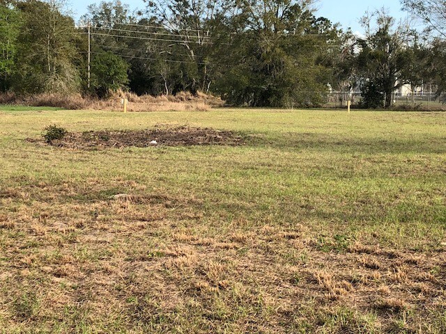 More Photos Of 3103 Washington St, Zellwood Land For Sale