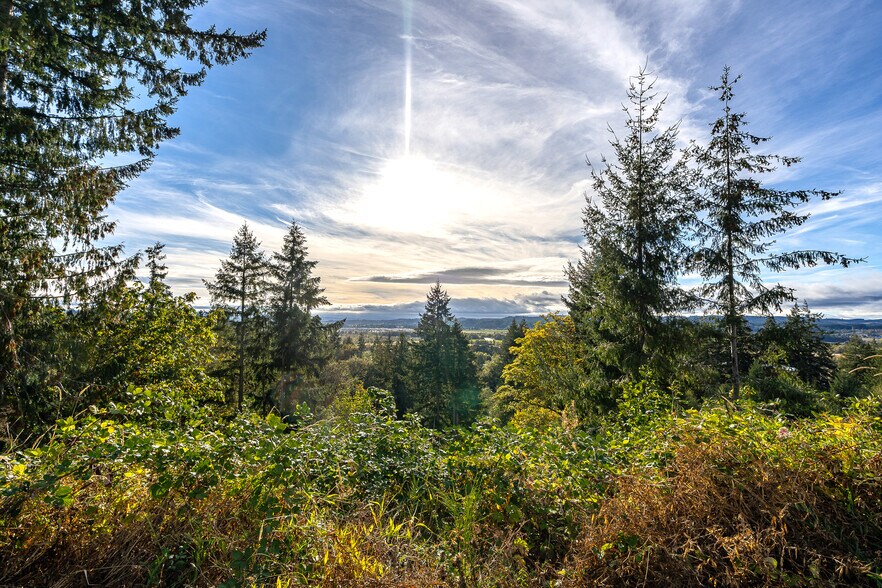 More Photos Of 0 Salzer Creek (was Fair St), Centralia Land For Sale