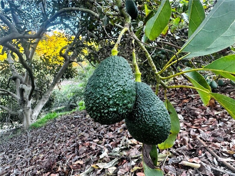 More Photos Of 0 Gopher Canyon Rd, Vista Land For Sale