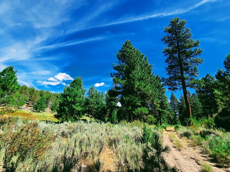 More Photos Of 32611 Tackman Rd, Prineville Land For Sale