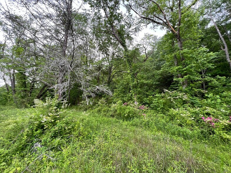 More Photos Of 6387 Airport Rd, Andrews Land For Sale