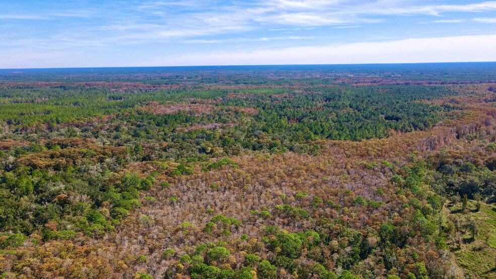 More Photos Of 4597 State 24 rd, Bronson Land For Sale