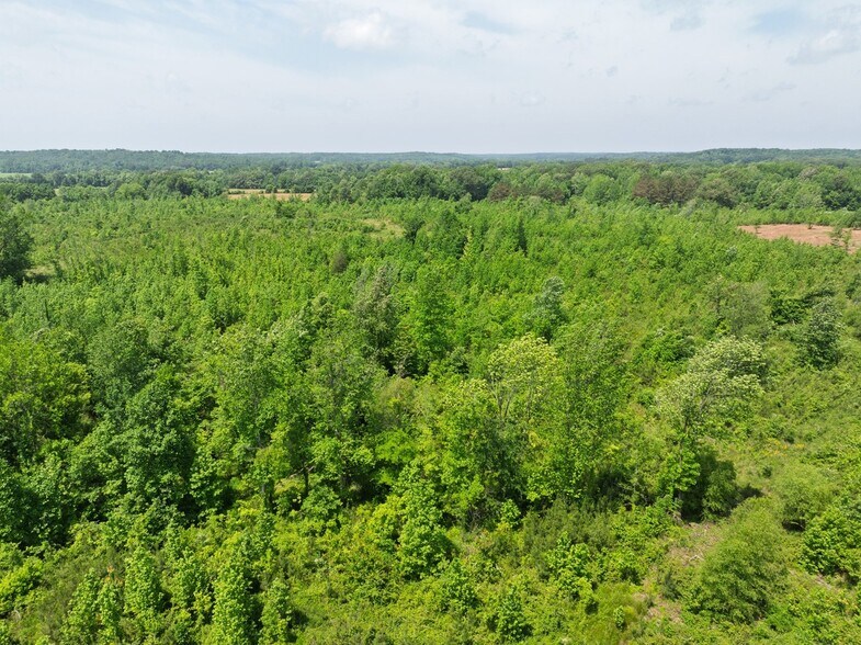 More Photos Of 0 State Route 22a, Enville Land For Sale